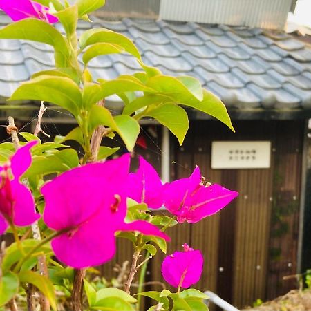 Guesthouse Nichinan - Vacation Stay 82905V Esterno foto