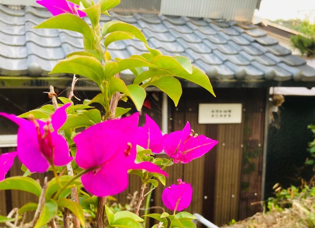 Guesthouse Nichinan - Vacation Stay 82905V Esterno foto